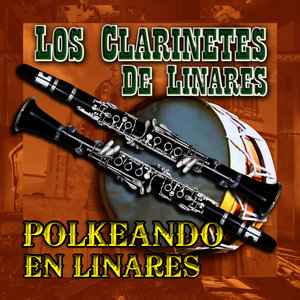 Polkeando en Linares