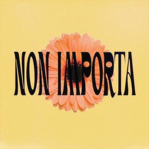 Non Importa (feat. Limpido & HAWELL)