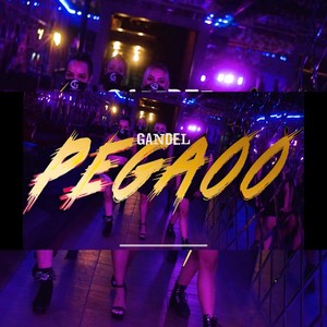 PEGAOO