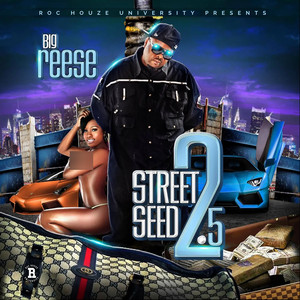 Street Seed 2.5 (Explicit)