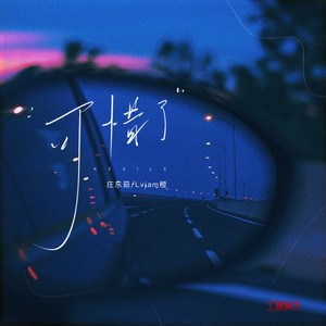 可惜了 (DJ弹鼓降速版)封面