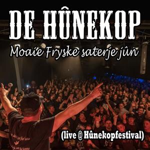 Moaie Fryske Saterjejûn (live @ Hûnekopfestival)