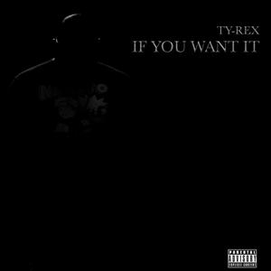 If You Want It (Explicit)