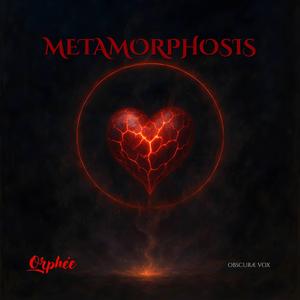 METAMORPHOSIS (En attendant l'Amour)