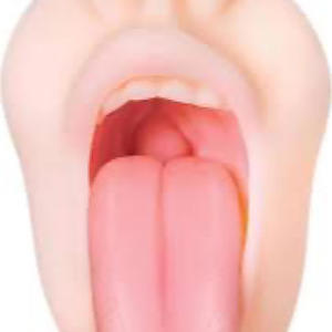 Pass Her Throat (feat. Shon Da Don) (Explicit)