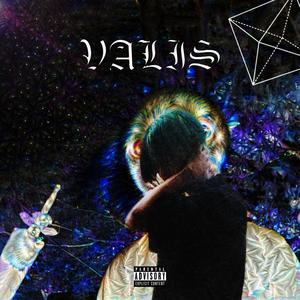 VALIS (Explicit)