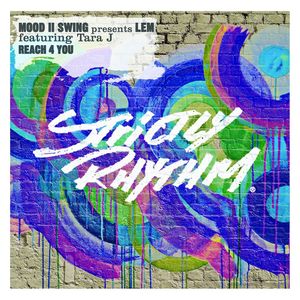 Reach 4 You (feat. Tara J) (Mood II Swing Dub)