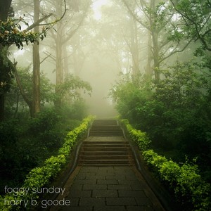 Foggy Sunday