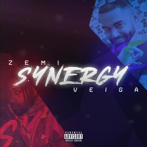 SYNERGY (Explicit)