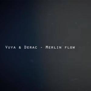 MERLIN FLOW (Explicit)