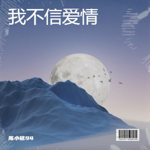 我不信爱情