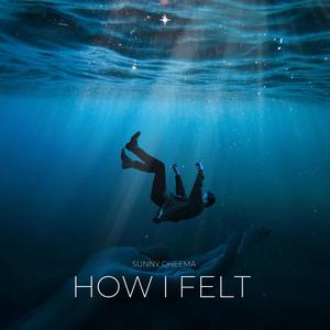 How I Felt (Explicit)