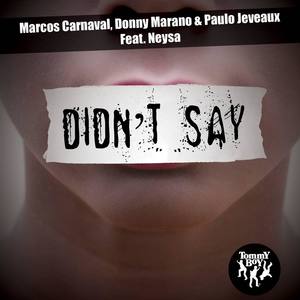 Didn't Say (feat. Neysa)