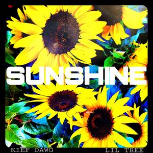 Sunshine (Explicit)