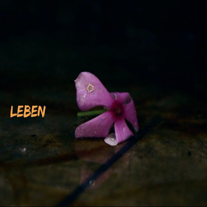 Leben