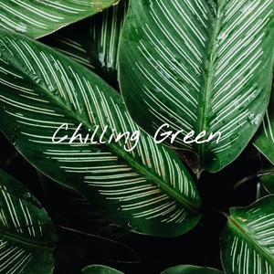 Chilling Green