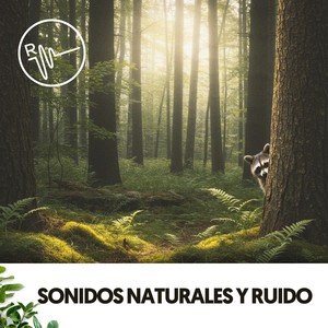 Sonidos Naturales y Ruido: Ondas naturales