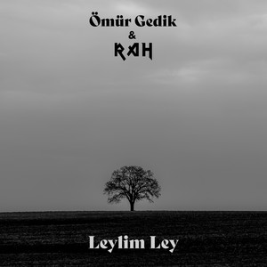 Leylim Ley (Radio Edit)