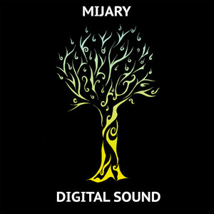 Digital Sound