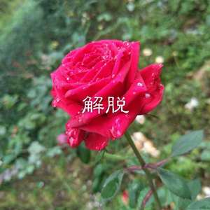 没那么简单