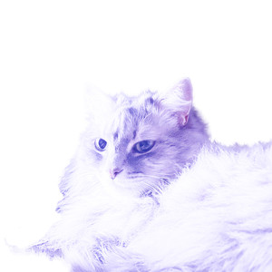 мне так тепло с тобой