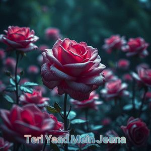 Teri Yaad Mein Jeena