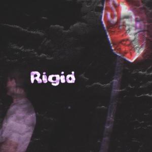 Sqeffy - Rigid