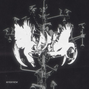 Turn The Lights Down