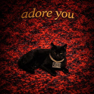 ADORE YOU
