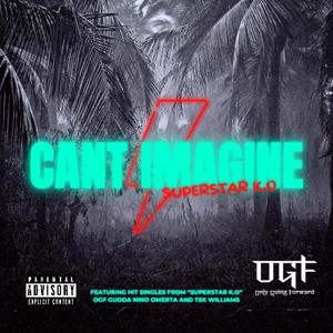 Can't Imagine (Explicit)