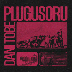 Plugusoru