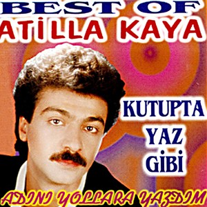 Best Of (Kutupta Yaz Gibi / Adını Yollara Yazdım)