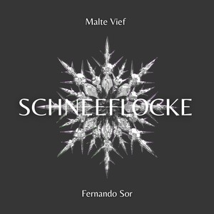 Schneeflocke