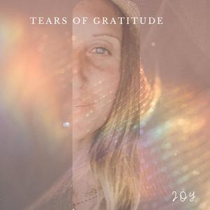 Tears of Gratitude (feat. Justin Froese & Chandler Price) [Radio Edit]