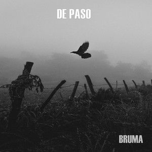 DE PASO (Demo)