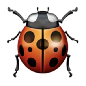 coccinelle