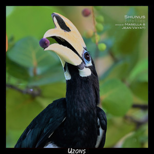 Fireflies (Jean Vayat Remix)