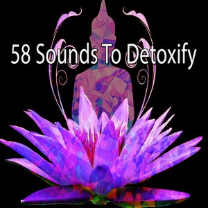 58 Sounds to Detoxify