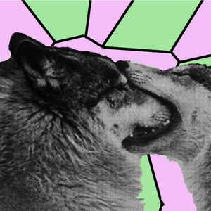 Interlude: Drive Steadily, Forever