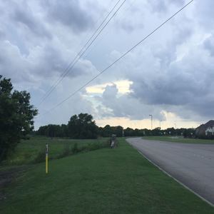 on my own (Explicit)