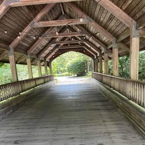 in my room (Explicit)