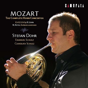 Horn Concerto No. 3 in E-Flat Major, K. 447: II. Romance. Larghetto
