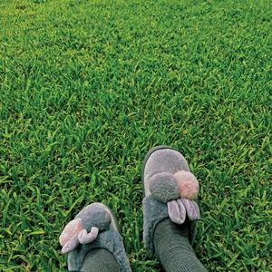 touch grass (Explicit)