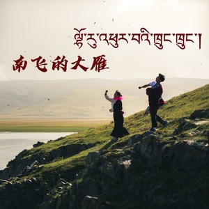 南飞的大雁