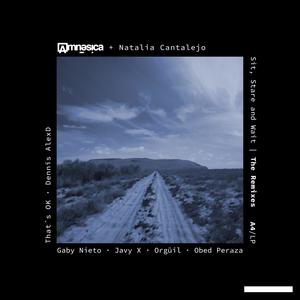 Sit, Stare And Wait (Remix Radio Edit)