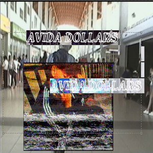 Avida Dollars