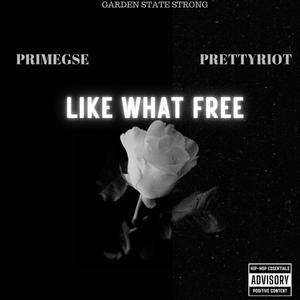 LIKE WHAT FREE (feat. PrimeGse) [Explicit]