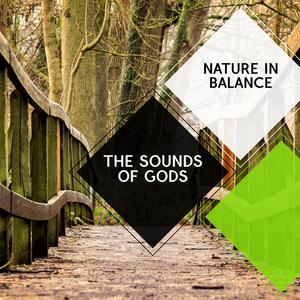 The Sounds of Gods - Nature in Balance