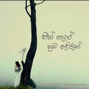 Heen Sare Nuba Awidin