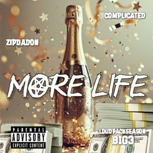 More Life (Explicit)